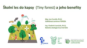 Školní výukový lesík TINY FOREST a jeho benefity