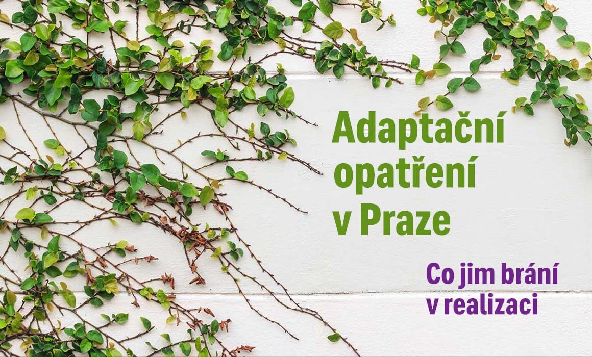 Adaptační opatření v Praze – co jim brání v realizaci