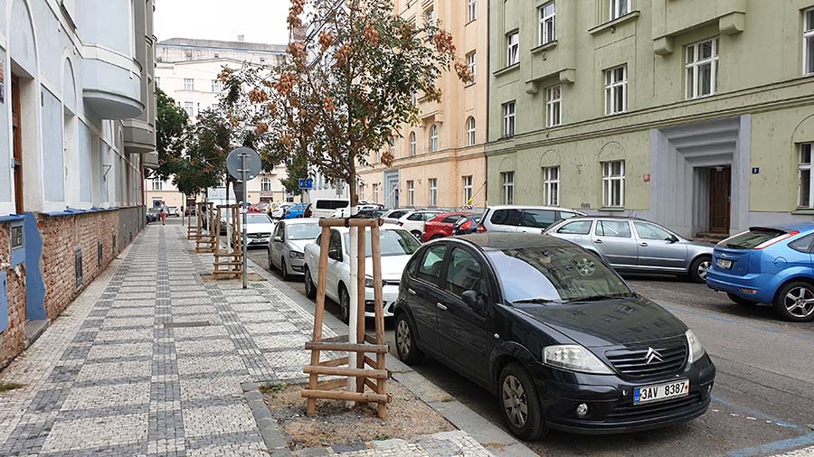 Zřízení 5 rabátek včetně výsadby stromů v ulici Schnirchova, Praha 7