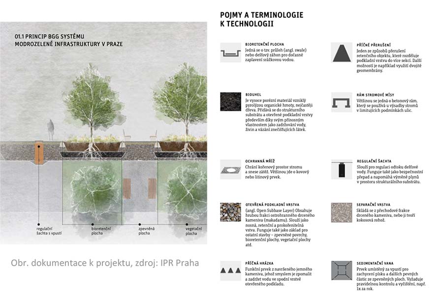 Brožura modelového řešení Modrozelené infrastruktury v rámci výsadby stromořadí