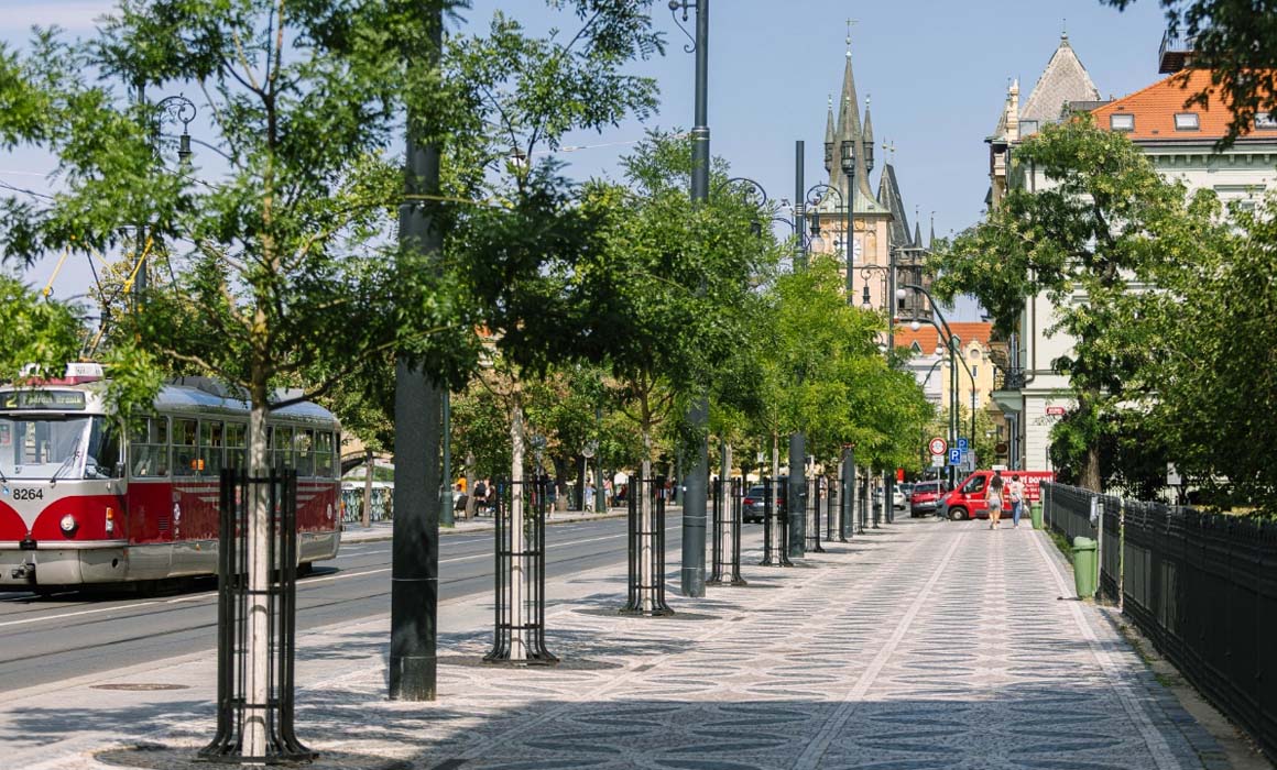 Praha hledá superstromy