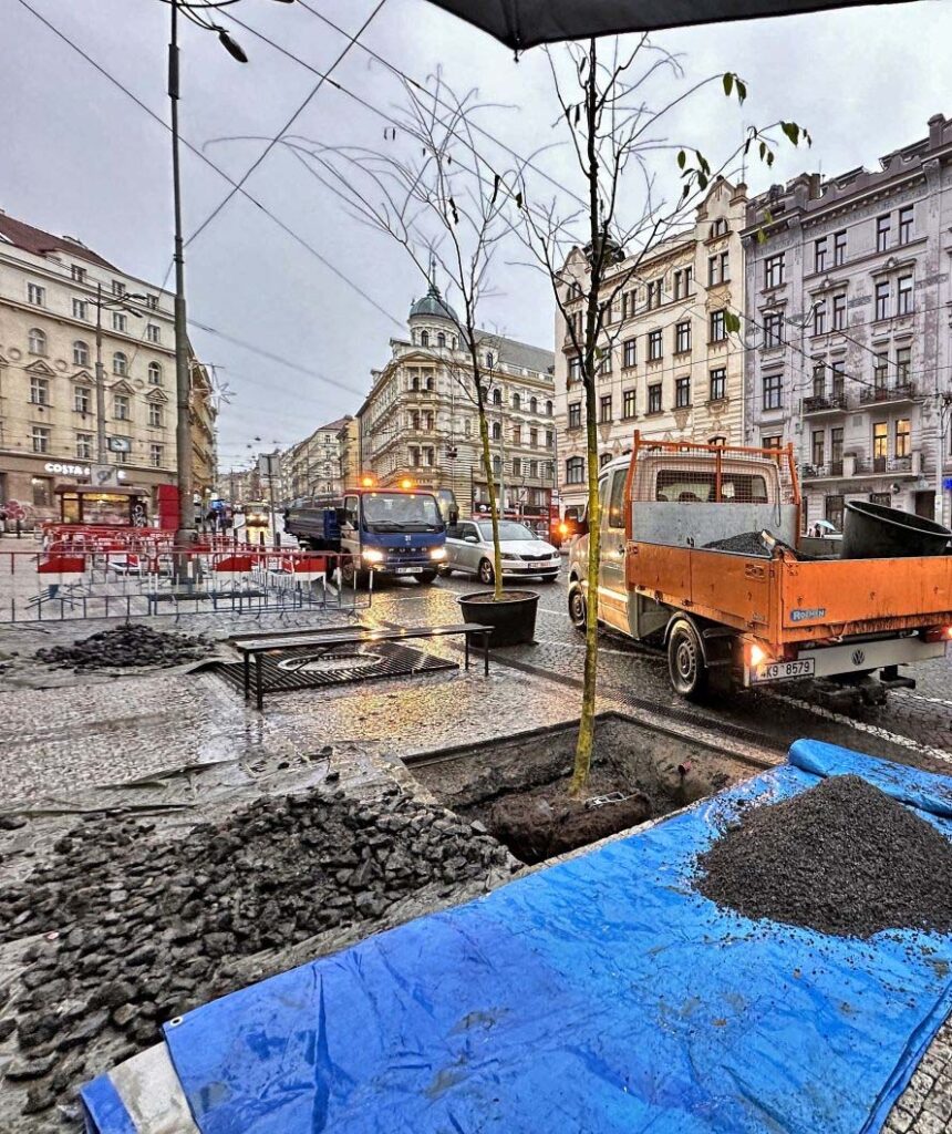 Na Strossmayerově náměstí porostou klimaticky odolné stromy!