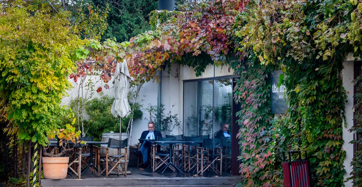 Proč Praha potřebuje popínavky?