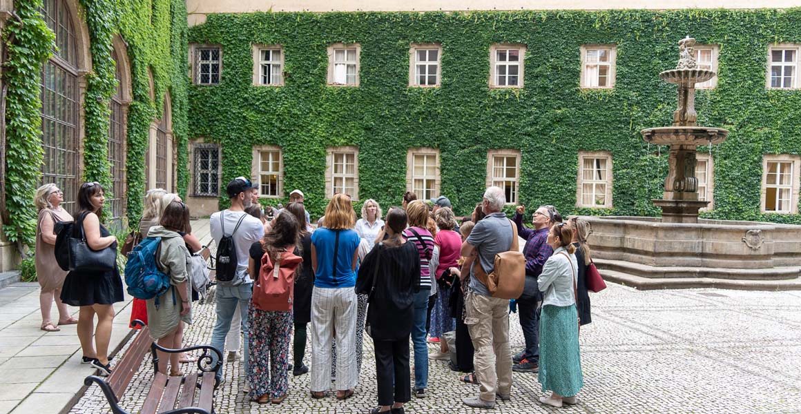 Jedna z nejstarších popínavek roste v Klementinu