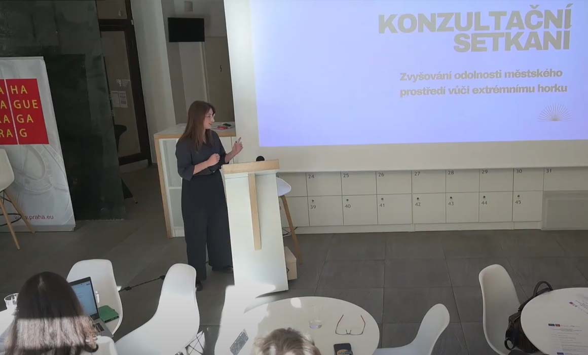 Konzultační setkání