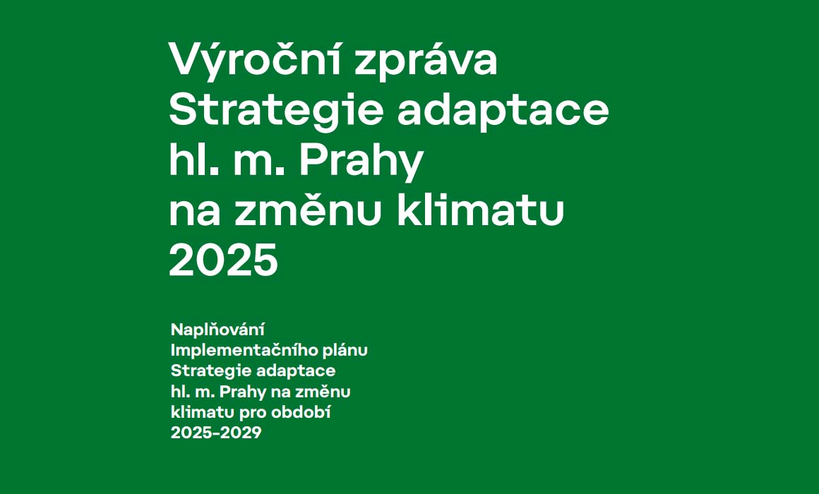 Výroční zpráva za rok 2025
