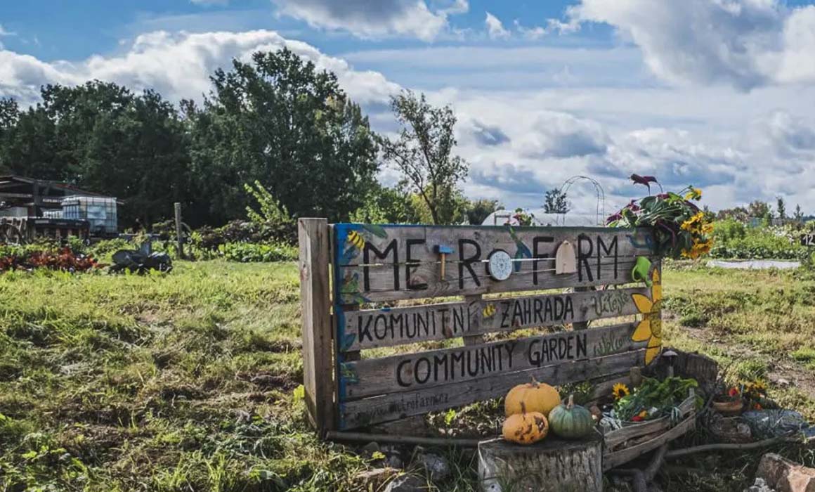 Komunitní zahrada