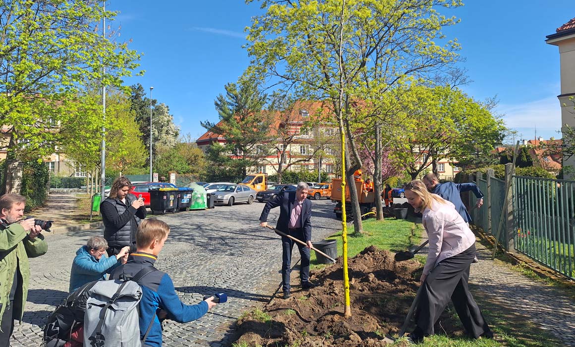 Praha vysadila další stromy budoucnosti