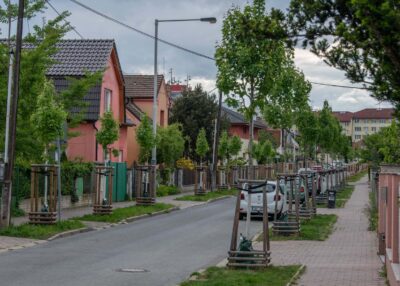 Obnova stromořadí v Běchorské ulici, Praha 9